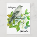 Recherche de blossom cartes postales Oranger