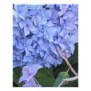 Recherche de tête fleur posters Toute personne