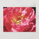 Recherche de peigne posters Amour