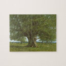 Recherche de réalisme puzzles Réaliste