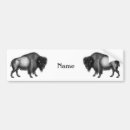 Recherche de bisson voiture autocollants Buffle