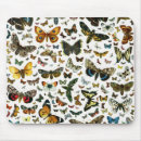 Recherche de dessin papillon tapis souris Illustration