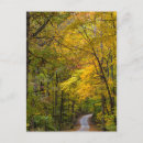 Recherche de gravier cartes postales Automne