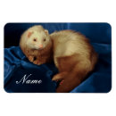 Recherche de animaux sauvages magnets Exotique