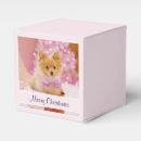 Recherche de noël mignon ballotins Chiot