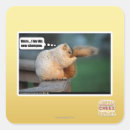 Recherche de shampooing autocollants Je peux avoir cheezburger