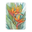 Recherche de paradis tropical magnets Botanique