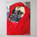 Recherche de bouche rouge posters Photographie