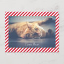 Recherche de meow vœux cartes Valentine