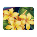 Recherche de plumeria magnets Hawaii