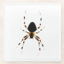 Recherche de arachnide dessous de verres Faune