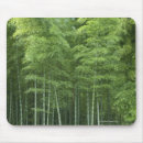 Recherche de bambou tapis souris Forêt