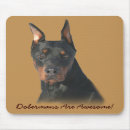 Recherche de dobermann tapis souris Chien