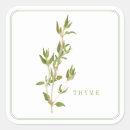 Recherche de origan autocollants Cuisine