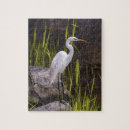 Recherche de bird nature Eau