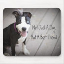 Recherche de pitbull chien tapis souris Pitbulls