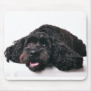Recherche de chiot cocker tapis souris Noir