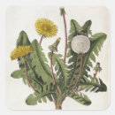 Recherche de gravure autocollants Fleurs