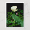 Recherche de bourgeon cartes postales Flore