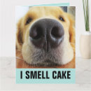 Recherche de oeil de chien Dog
