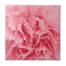 Recherche de oeillets carreaux Rose