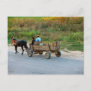 Recherche de charrue cartes postales Ferme