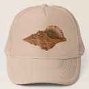 Recherche de coquille casquettes Coquillage
