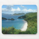 Recherche de baies tapis souris Tropical