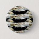 Recherche de joints badges Phoques