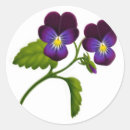 Recherche de pansement autocollants Jardin