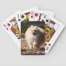 Recherche de spitz jeux de cartes Loulou