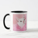 Recherche de boa tasses Animaux