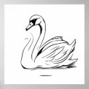 Recherche de cygnes art Blanc