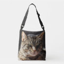 Recherche de chat tigré sacs Félin
