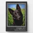 Recherche de empreintes de pattes plaques Amoureux des chiens