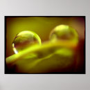 Recherche de h2o posters Paysage