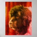 Recherche de noir blanc chien posters Pour elle