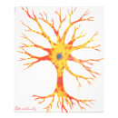 Recherche de neurones posters Biologie