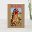 Recherche de le coq vœux cartes Photographie