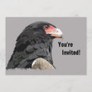 Recherche de rapace invitations Aigle
