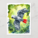 Recherche de jung cartes postales Pour enfants