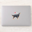 Recherche de gordon setter autocollants Pour tous