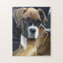 Recherche de boxer puzzles Animal