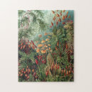 Recherche de vintage puzzles Ernst haeckel