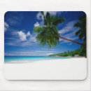 Recherche de les seychelles tapis souris Plage