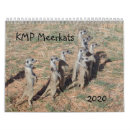 Recherche de projet bureau fournitures Meerkat