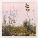 Recherche de mexique dessous de verres Désert