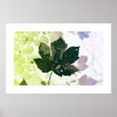 Recherche de herboriste art Automne