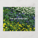 Recherche de beau jardin cartes postales Bleu