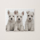 Recherche de west highland terrier puzzles Animaux